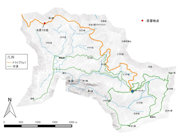2018/6/16大台ヶ原地区にてツキノワグマ出没目撃情報