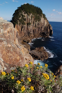 楯ヶ崎（二木島湾）【12月撮影】