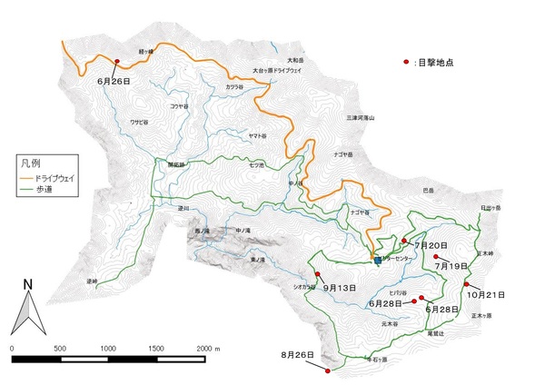 ツキノワグマ目撃情報