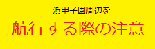 浜甲子園周辺を渡航する際の注意(リンク)
