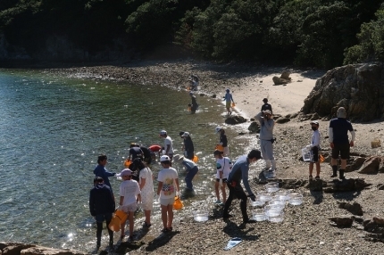 【海岸で生き物探し】