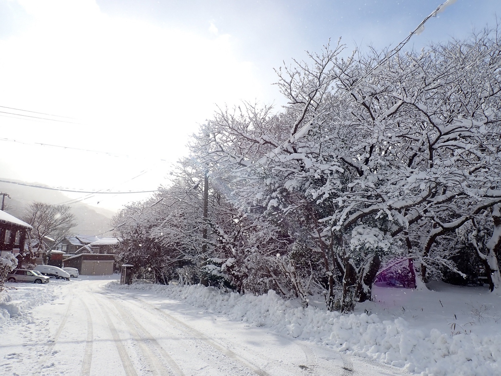 事務所周辺の様子