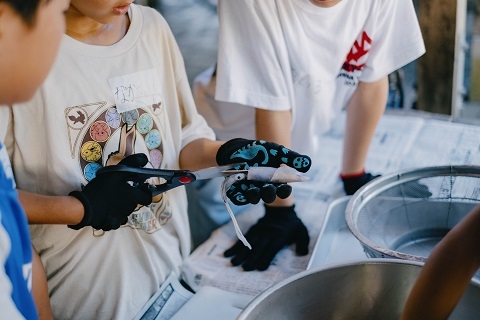 イカをハサミで切る子ども