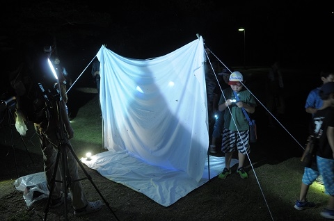 集まる虫に興味津々の子ども達