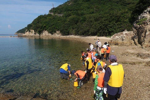 海の生き物観察開始