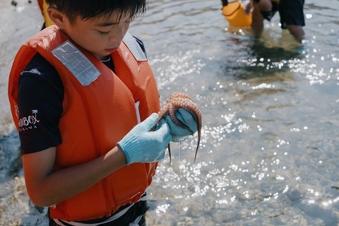 タコを捕まえた