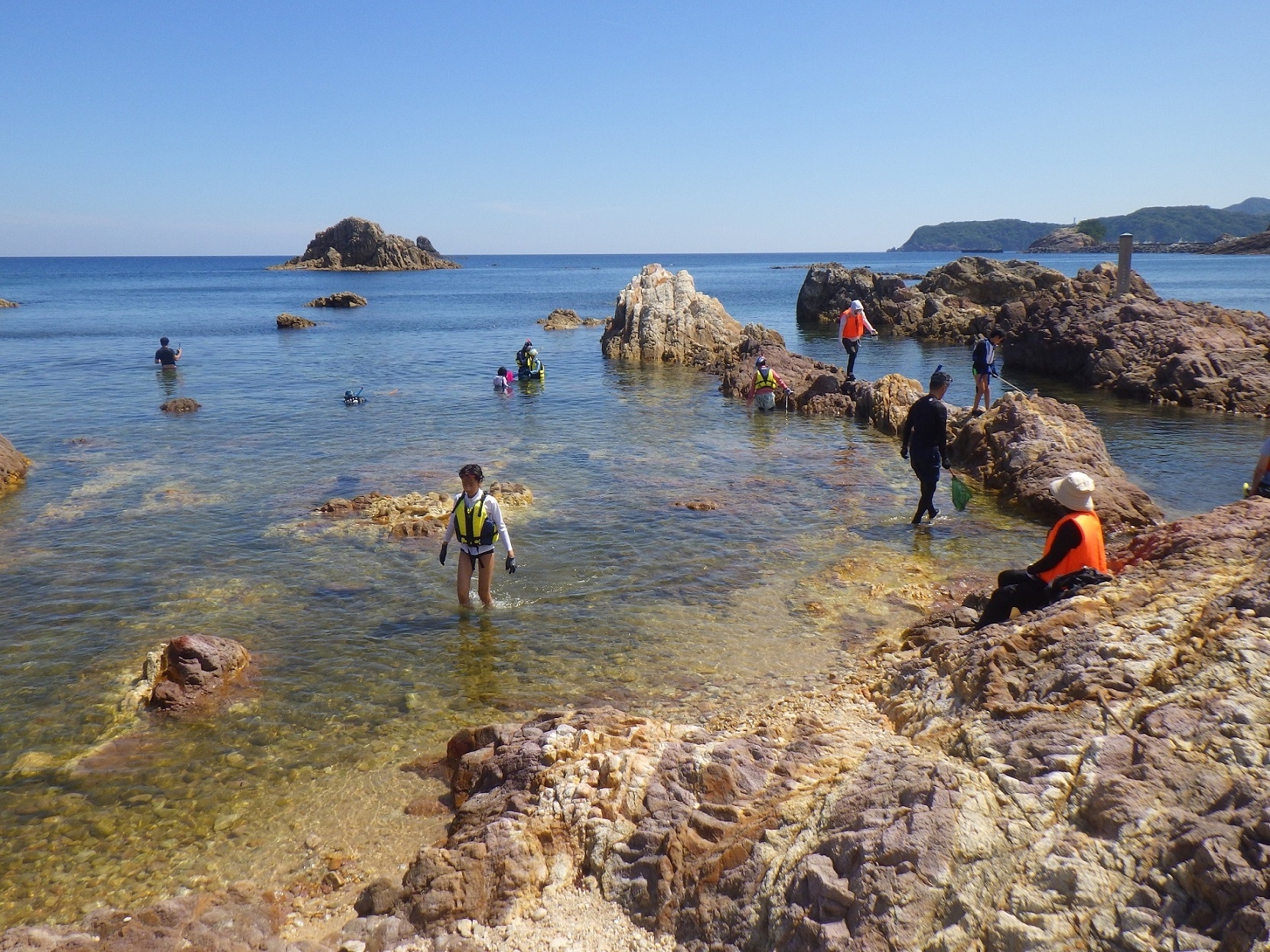 城原海岸#磯の観察会の様子