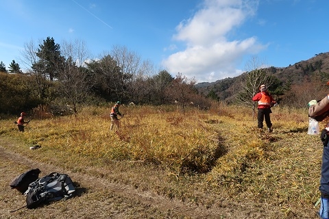 皆で刈り取りを行っています