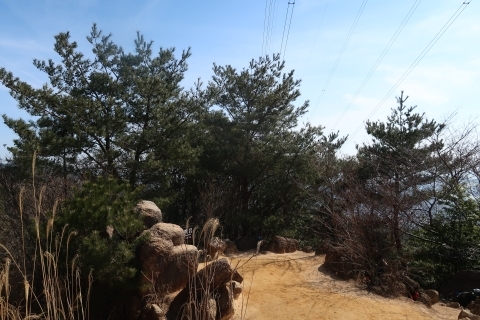 伐採前の風吹岩の様子