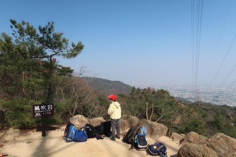 樹木を伐採した後の眺望