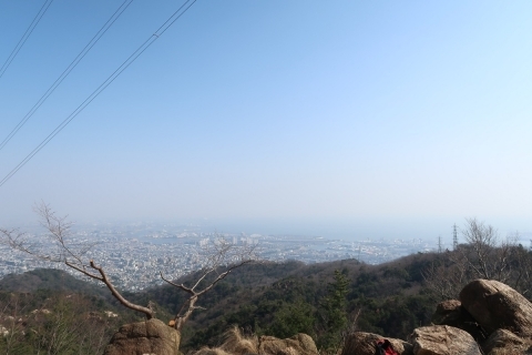 樹木を伐採した後の眺望