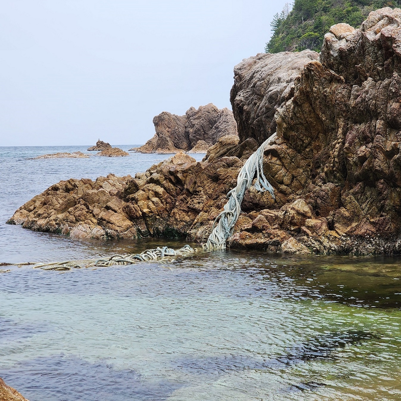 大鴨ヶ磯に漂着したロープ