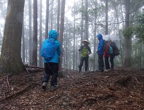 雨の中、当時と変わらないであろう風景の中を歩く