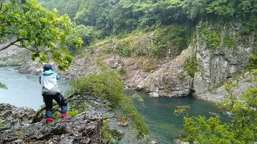 途中に見える北山川は、まさに絶景の一言