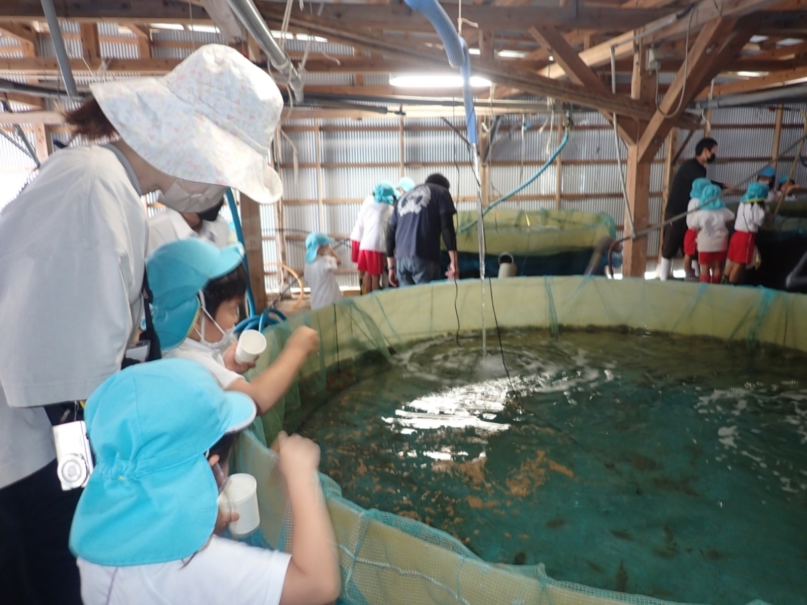 最後の餌やり、いっぱい食べてね