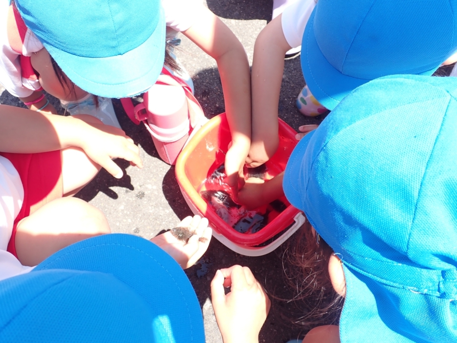 漁協配布のヒラメ