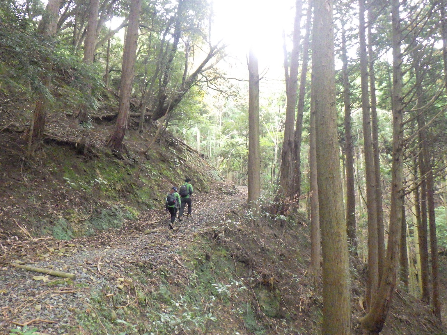 たかのす展望台までの坂道
