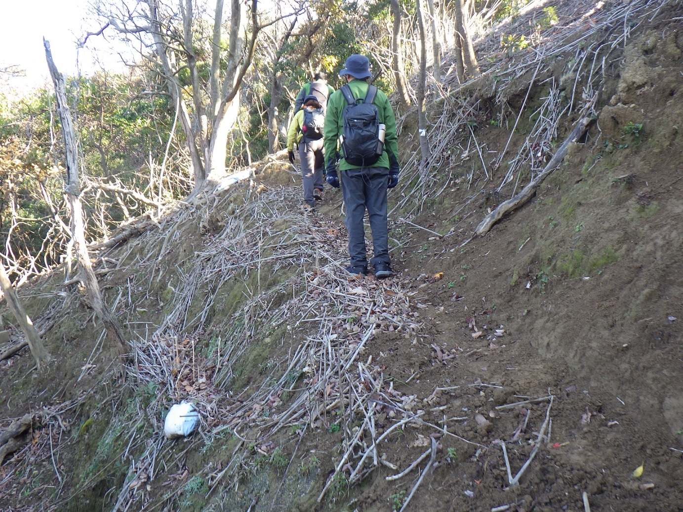 尾根に向かうトレイル