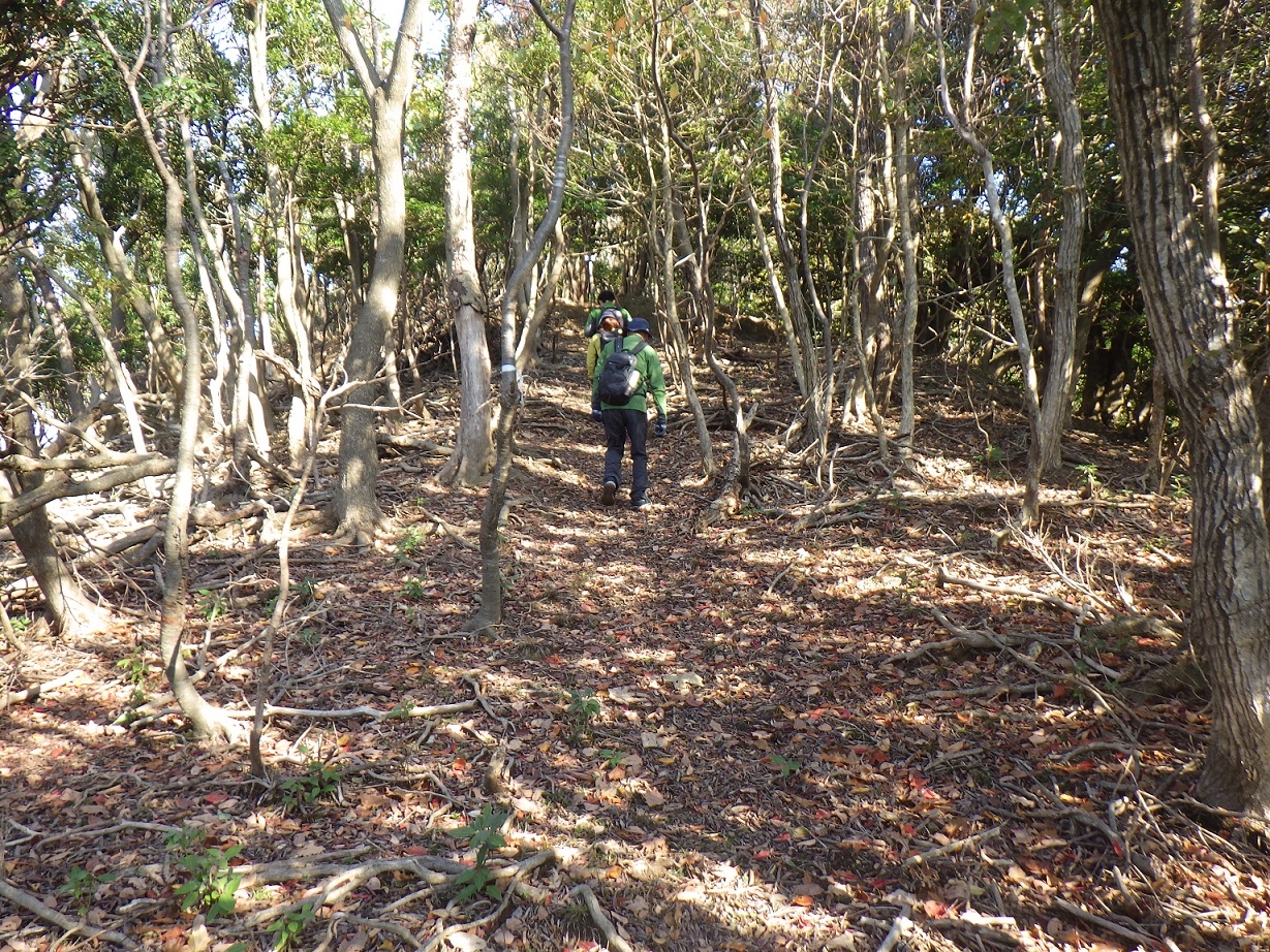 尾根を登っていく様子