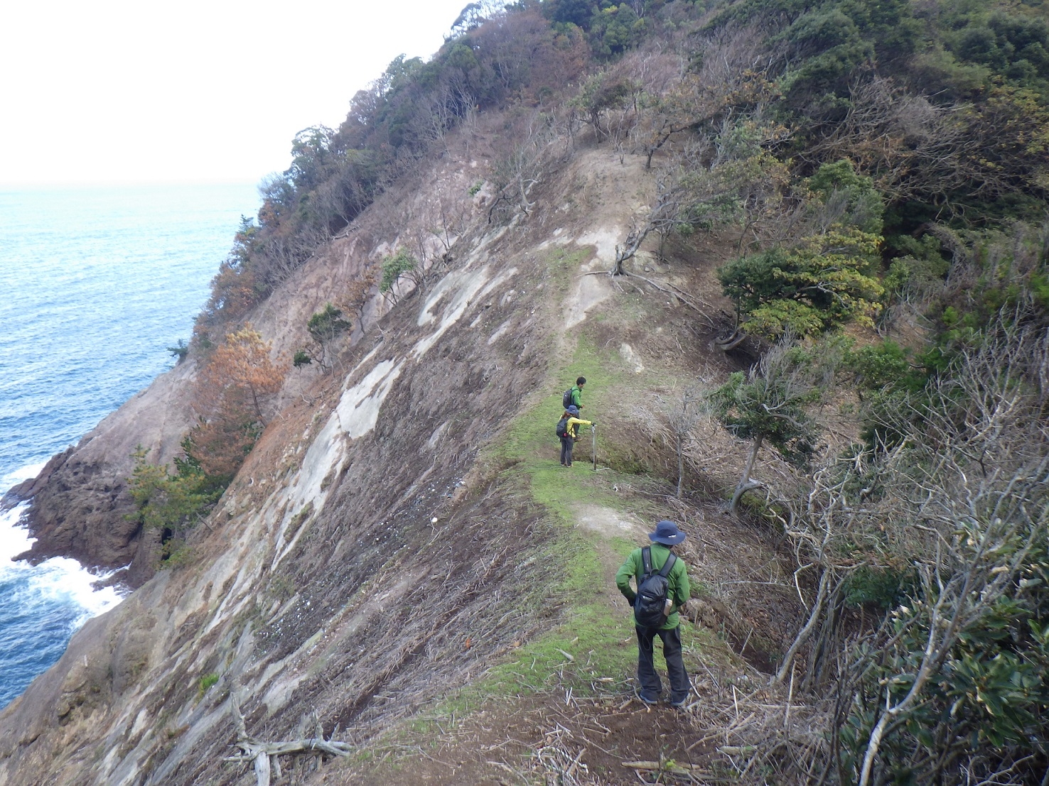 林の尾根を抜け険しい崖へ