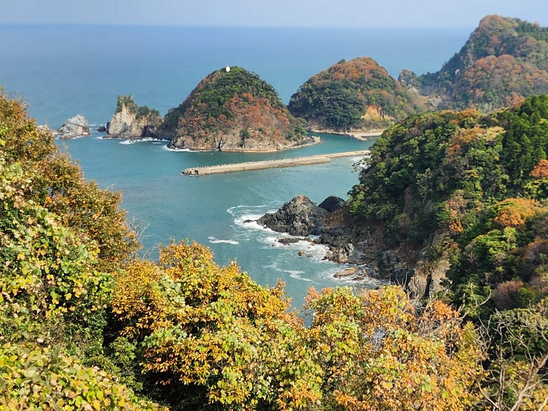 居組港方面の眺望