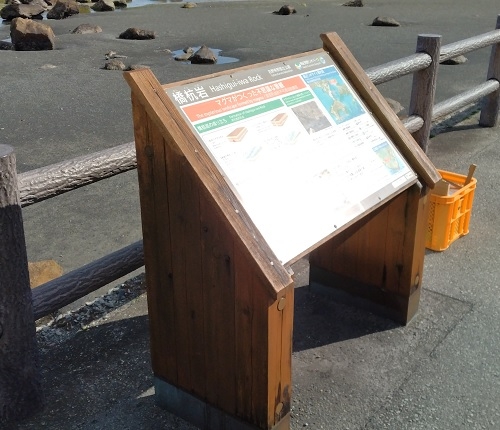 ジオサイト看板の塗装後