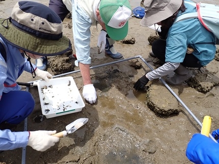 生き物を探す様子