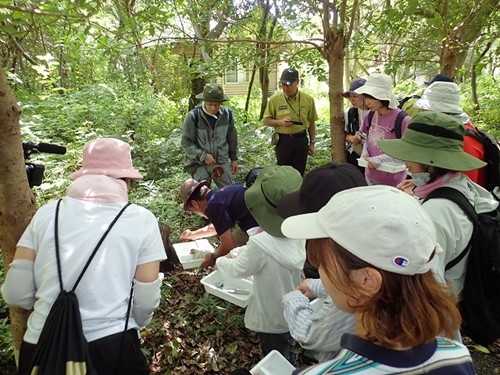 粘菌探しの様子