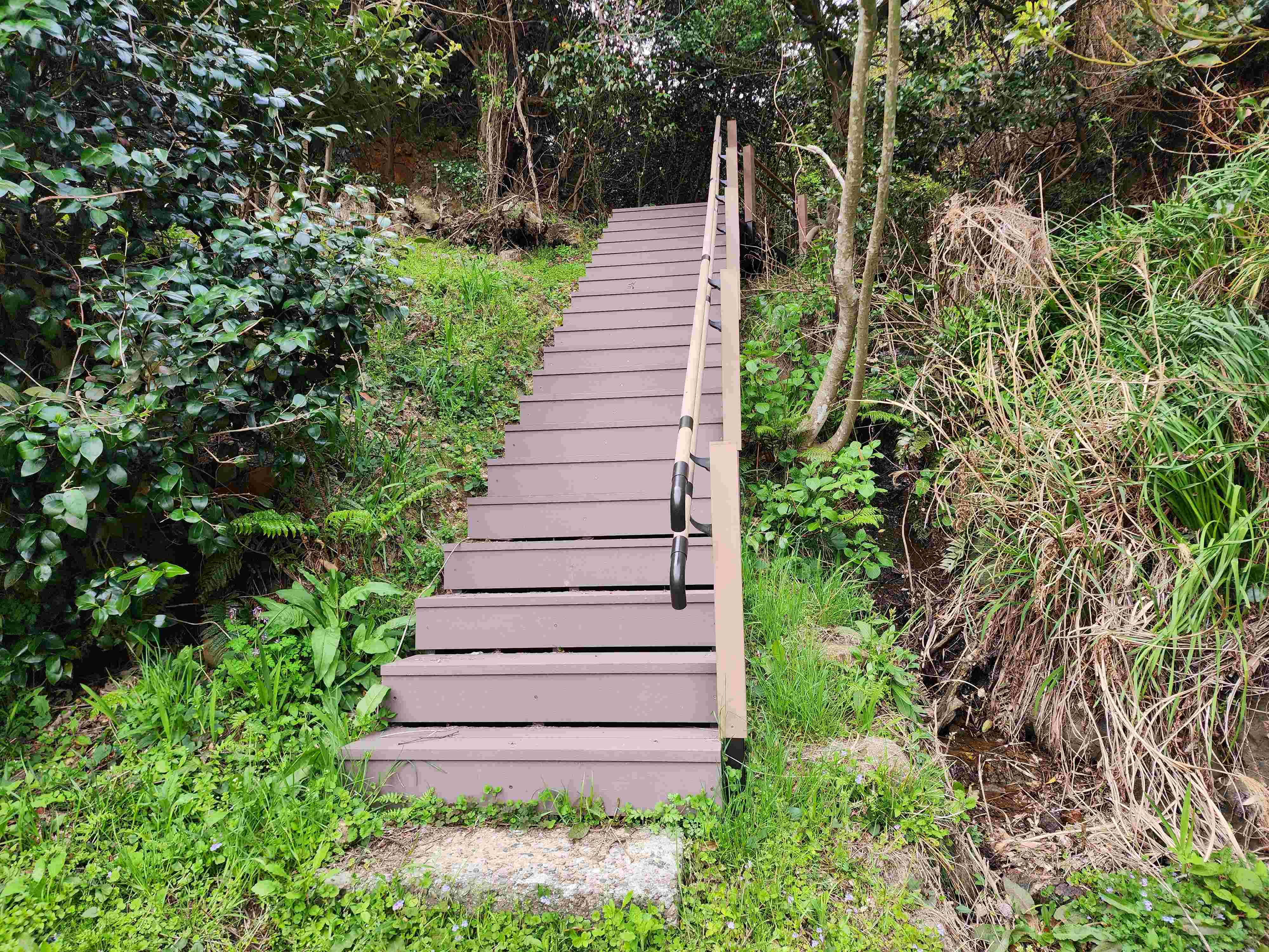 新しくなった階段