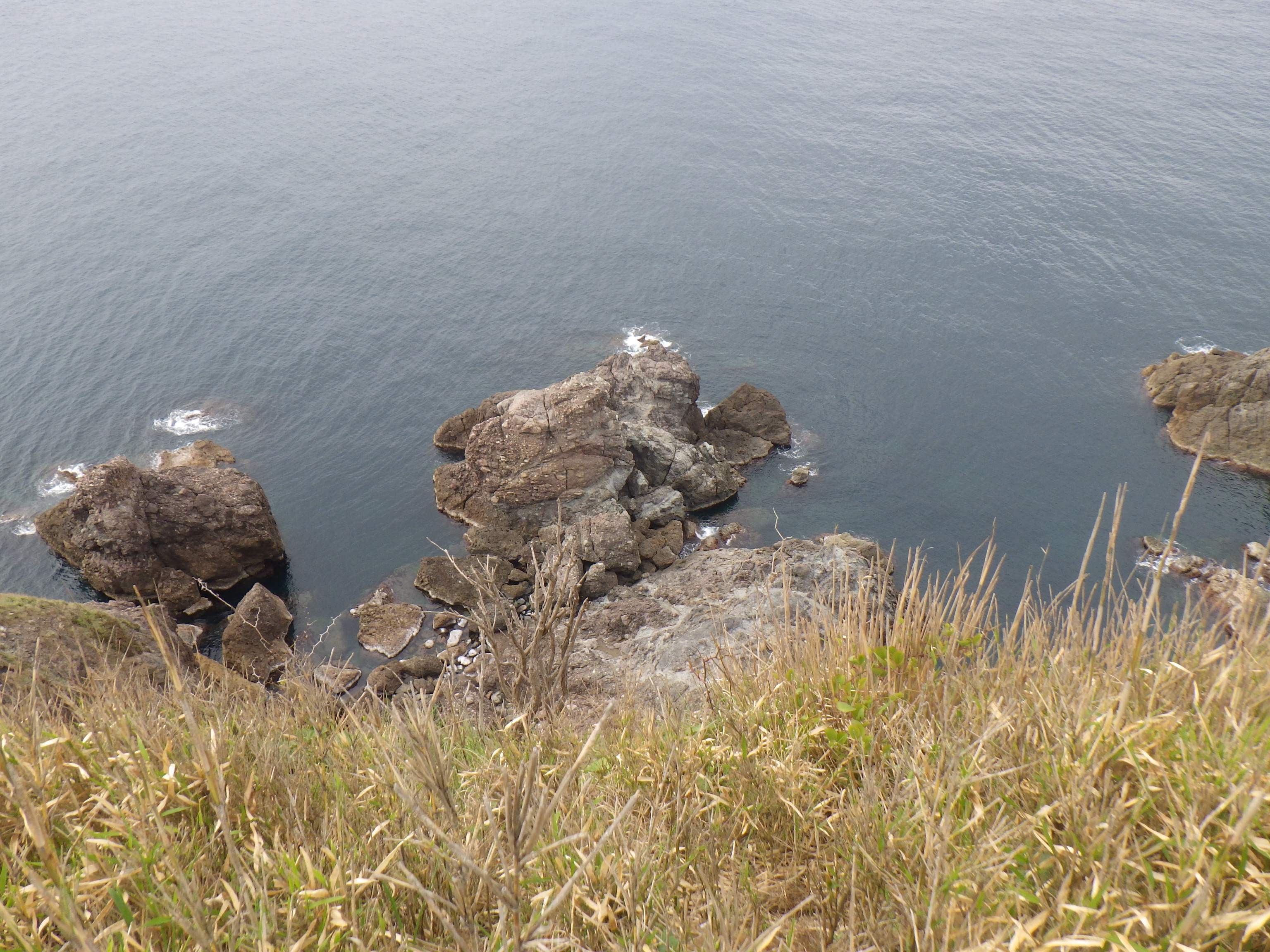 自然歩道から見下ろす羽尾鼻