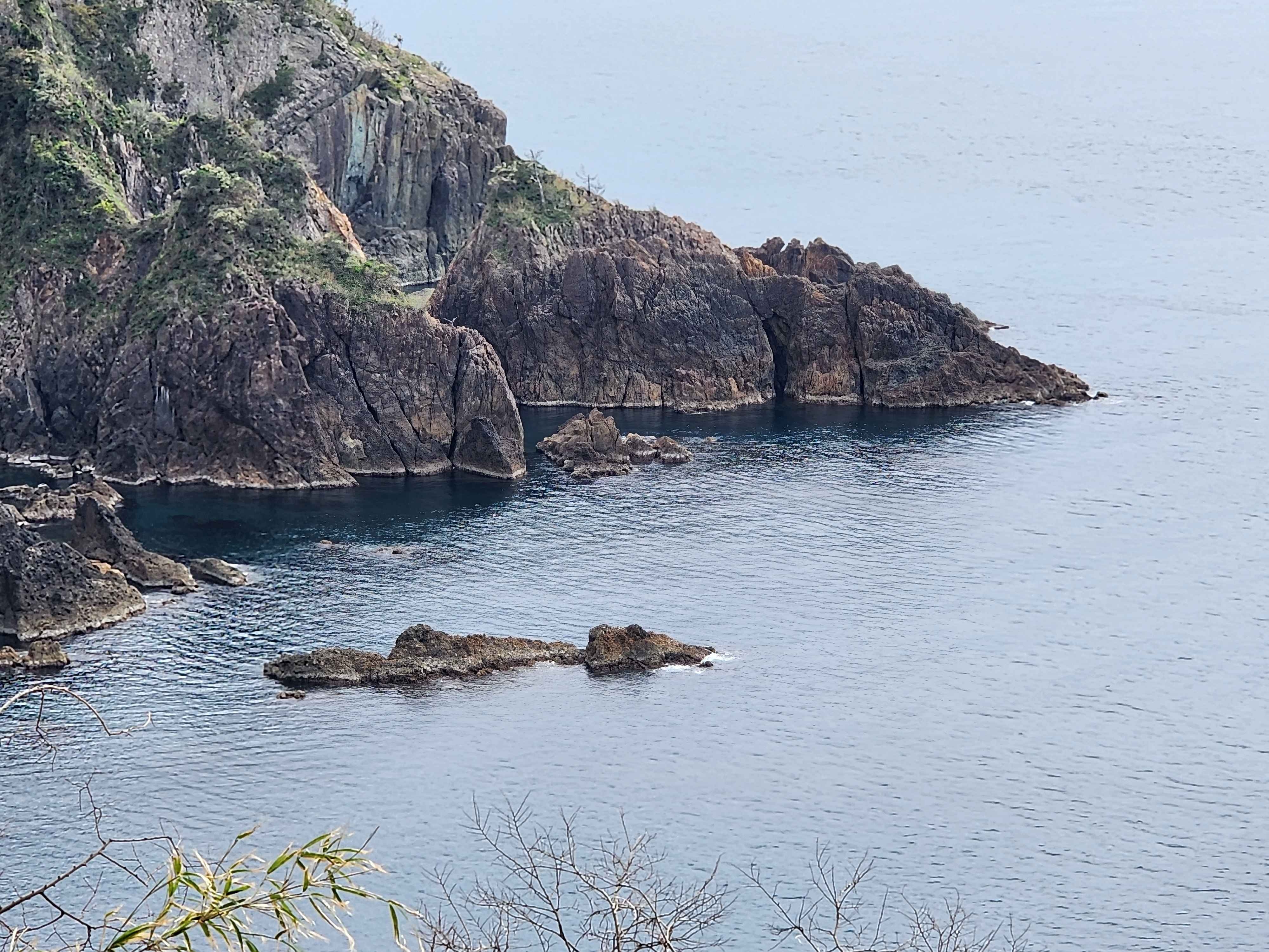 通景伐採後見えるようになった青楯