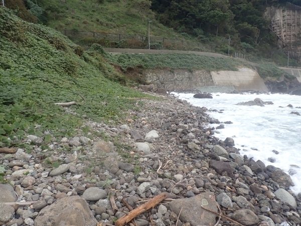 漂着ゴミを回収した後の浜の様子