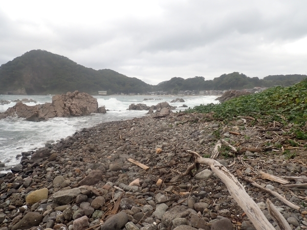 こちらもきれいになりました