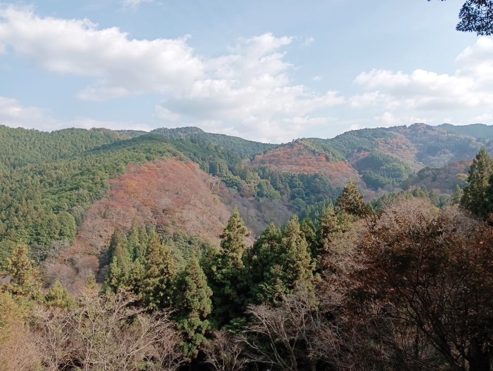 秋の吉野山
