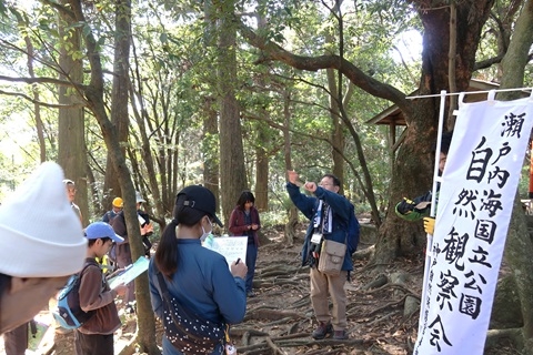 巨木アカガシの前で説明をする講師の様子