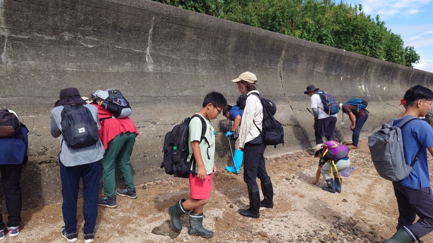 鳥の巣半島で観察