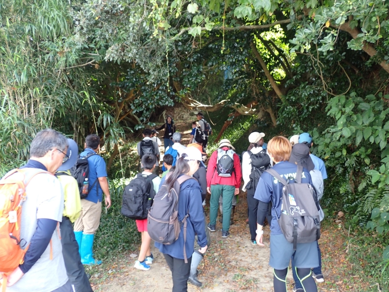 鳥の巣半島里山の様子