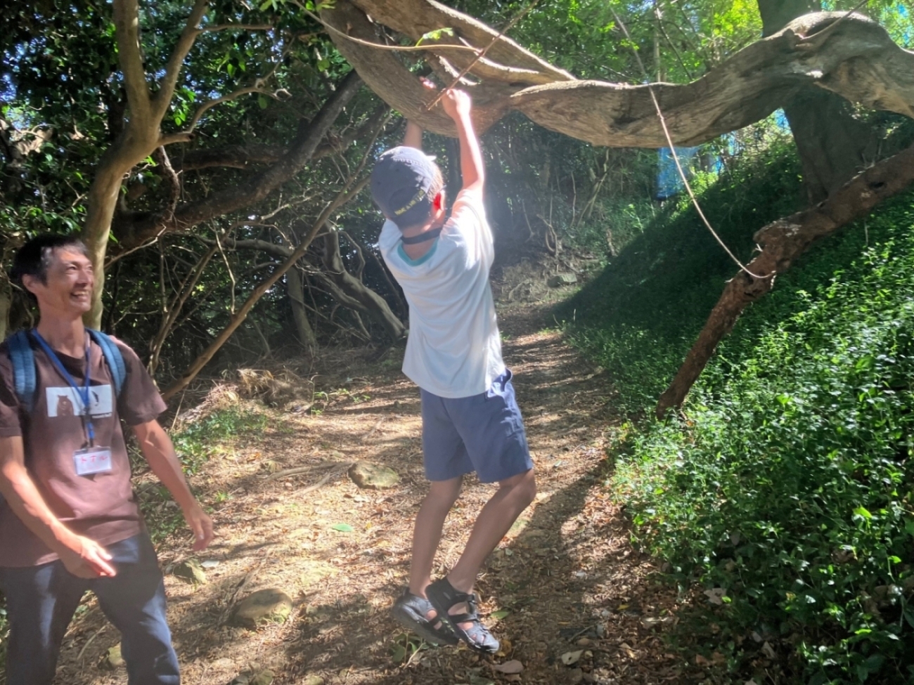 木陰でツル遊び