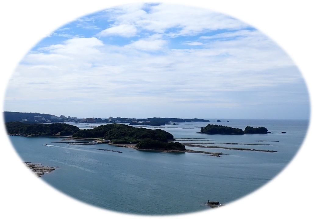 鳥の巣半島俯瞰