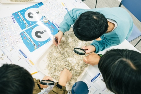 虫眼鏡を使って小さい「ちりめんモンスター」を探します