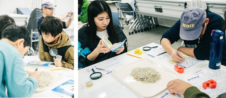 子どもも大人も一緒になってちりめんモンスターを探す様子