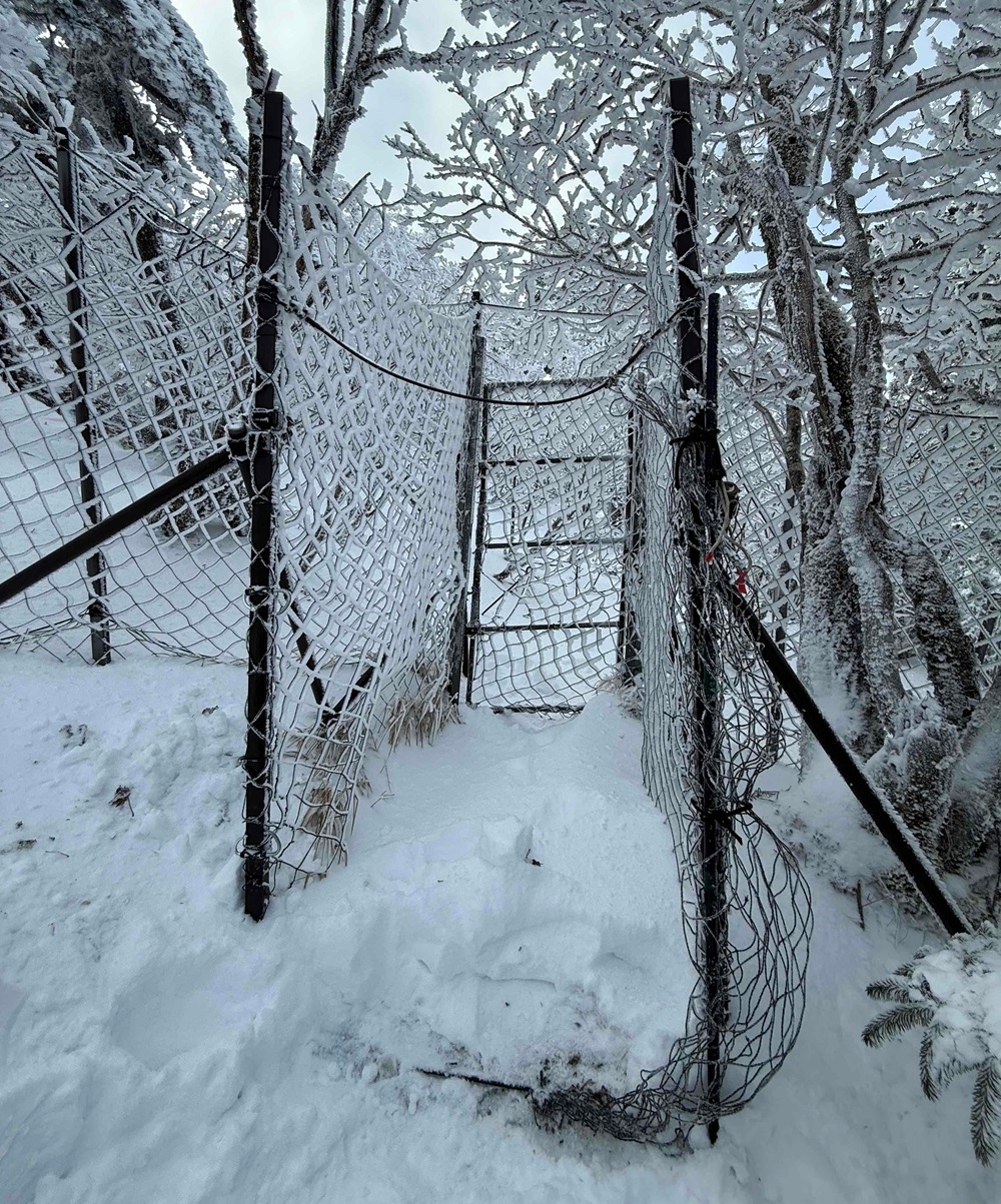 雪かきが終わった防鹿柵