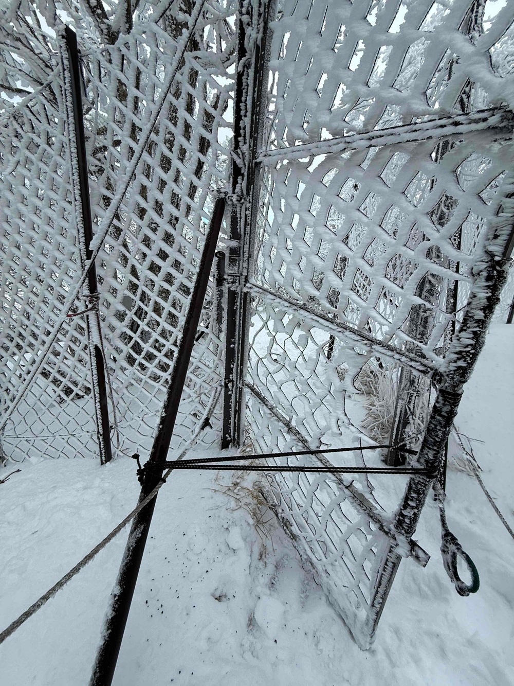 ロープで固定された扉