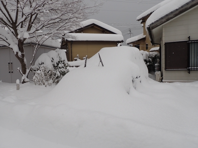 雪に埋もれた官用車