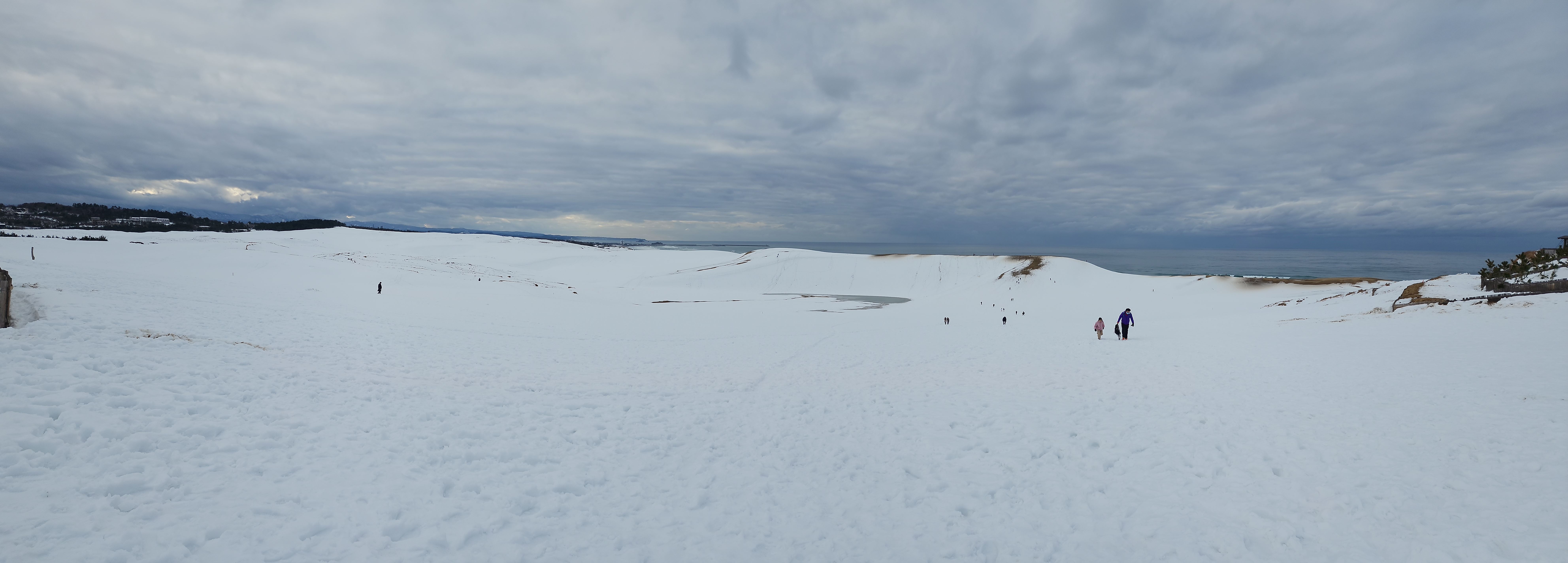 入口階段を上がると一面白くなった砂丘