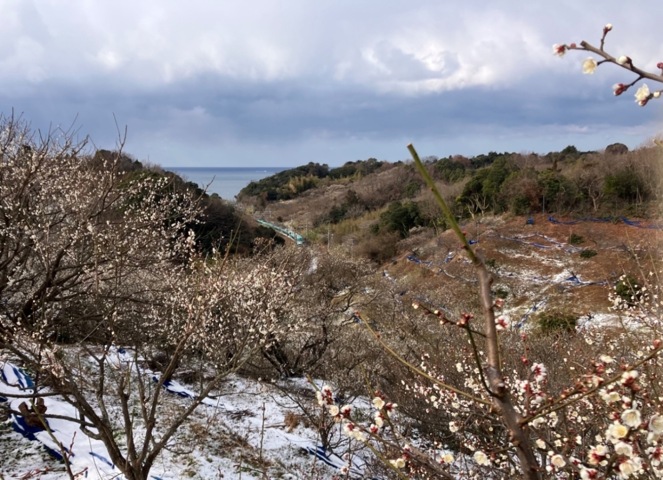 みなべ町の風景
