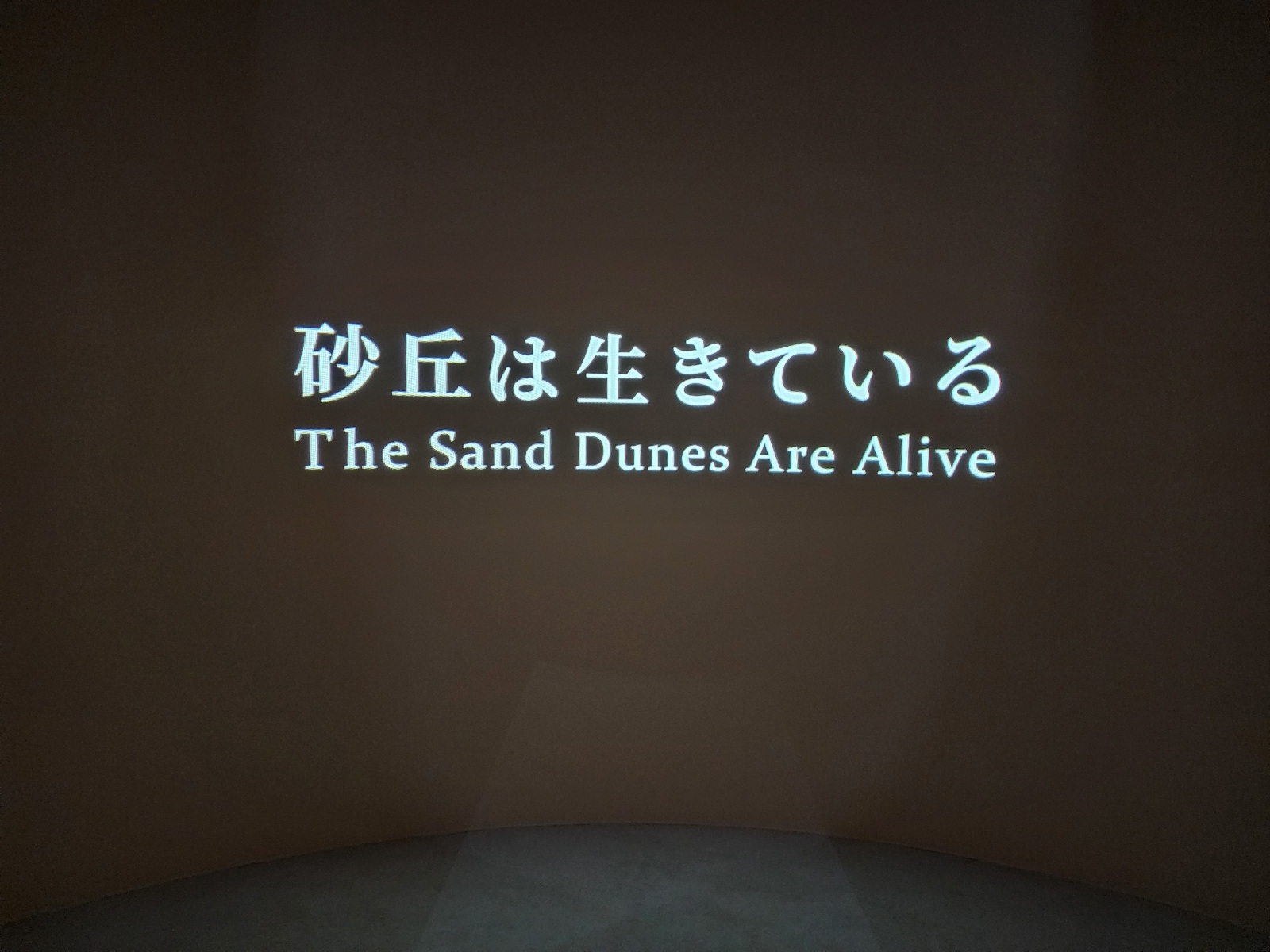 従来映像のタイトル