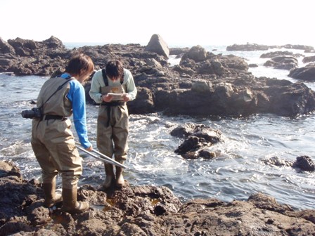 写真：環境省アクティブ・レンジャー（自然保護官補佐）の業務3