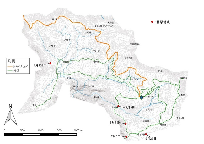 ツキノワグマ目撃地点