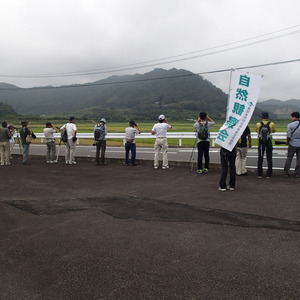 遠くの野鳥を観察中